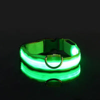 Glow-in-the-Park USB Rechargeable LED Dog Collar