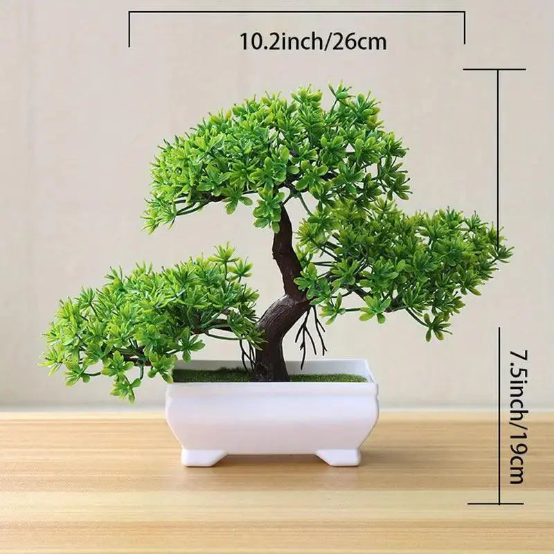 Perfectly Pruned Mini Bonsai - Compact Elegance | Aloha Imports