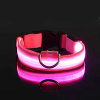 Glow-in-the-Park USB Rechargeable LED Dog Collar