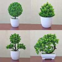 Artisanal Miniature Bonsai Tree – A Touch of Evergreen Elegance