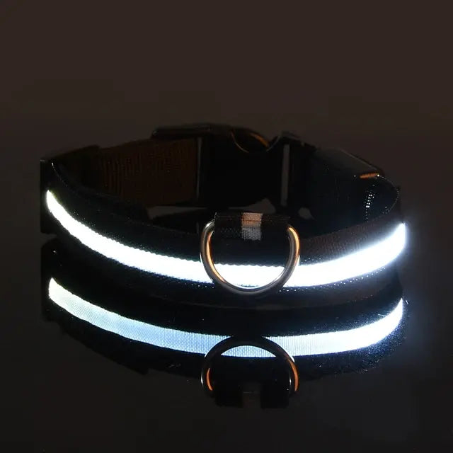 Glow-in-the-Park USB Rechargeable LED Dog Collar