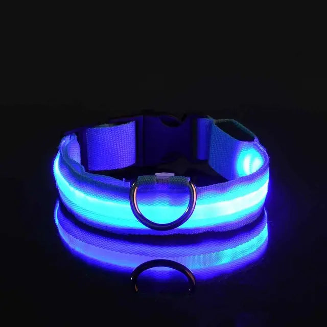 Glow-in-the-Park USB Rechargeable LED Dog Collar