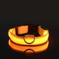 Glow-in-the-Park USB Rechargeable LED Dog Collar