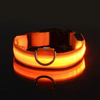 Glow-in-the-Park USB Rechargeable LED Dog Collar