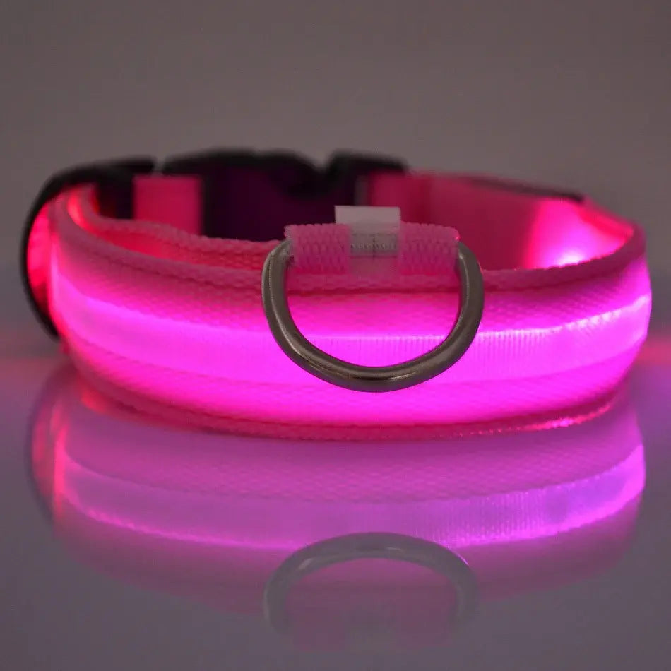 Glow-in-the-Park USB Rechargeable LED Dog Collar