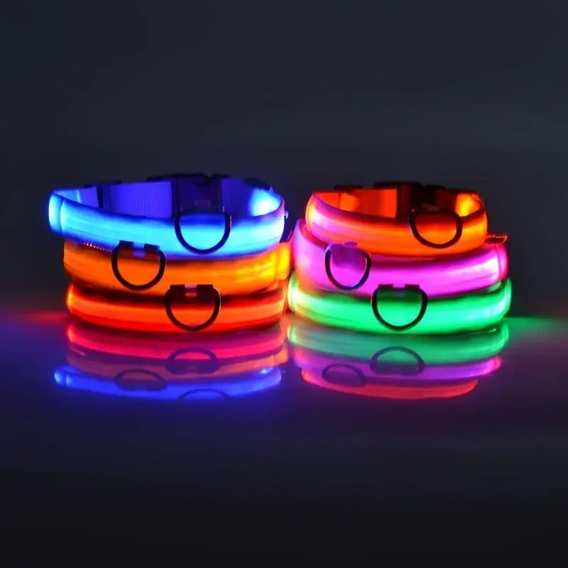 Glow-in-the-Park USB Rechargeable LED Dog Collar