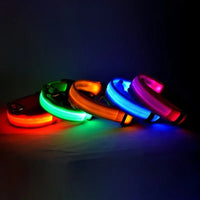 Glow-in-the-Park USB Rechargeable LED Dog Collar