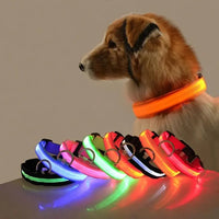 Glow-in-the-Park USB Rechargeable LED Dog Collar